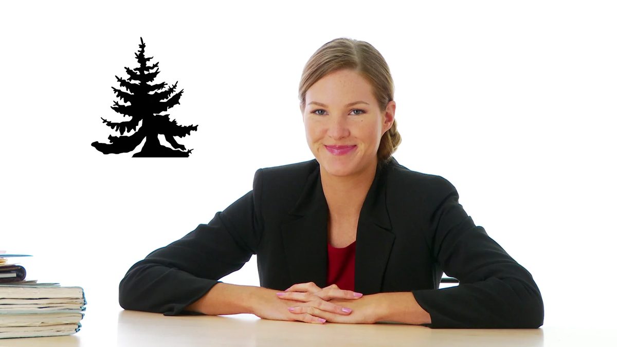 Spruce School of Real Estate One Day Review video: instructor seated at a desk next to the Spruce tree logo